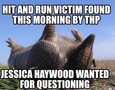 hit-and-run-victim-found-this-morning-by-thp-jessica-haywood-wanted-for-question