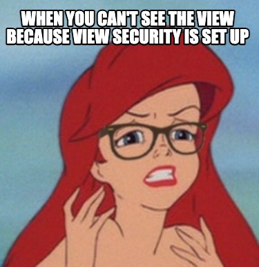 when-you-cant-see-the-view-because-view-security-is-set-up