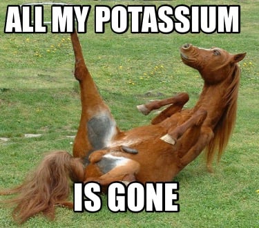 all-my-potassium-is-gone