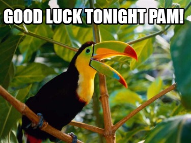 good-luck-tonight-pam
