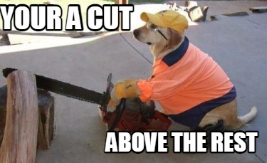 your-a-cut-above-the-rest