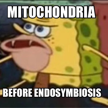 mitochondria-before-endosymbiosis