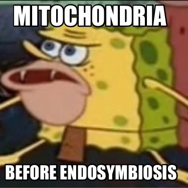 mitochondria-before-endosymbiosis4