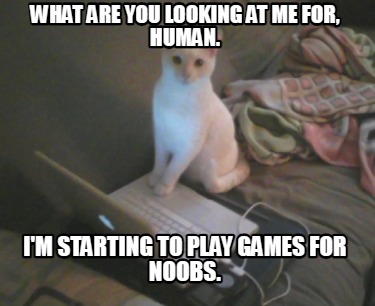 what-are-you-looking-at-me-for-human.-im-starting-to-play-games-for-noobs