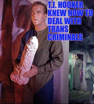 t.j.-hooker-knew-how-to-deal-with-trans-criminals