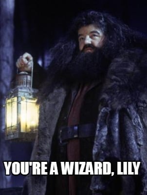 youre-a-wizard-lily