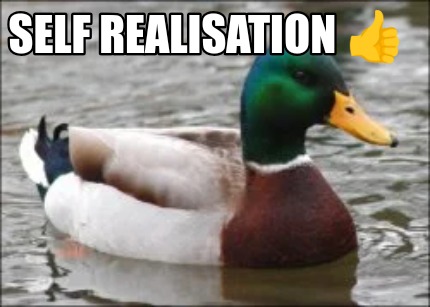 self-realisation-