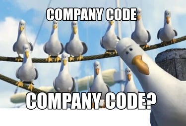 company-code-company-code