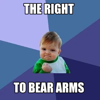 the-right-to-bear-arms869
