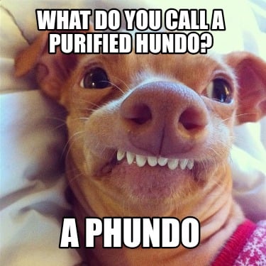 what-do-you-call-a-purified-hundo-a-phundo