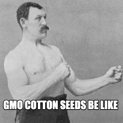 gmo-cotton-seeds-be-like