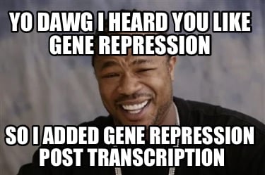 yo-dawg-i-heard-you-like-gene-repression-so-i-added-gene-repression-post-transcr