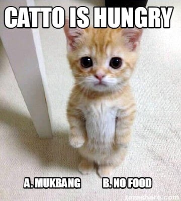 catto-is-hungry-a.-mukbang-b.-no-food