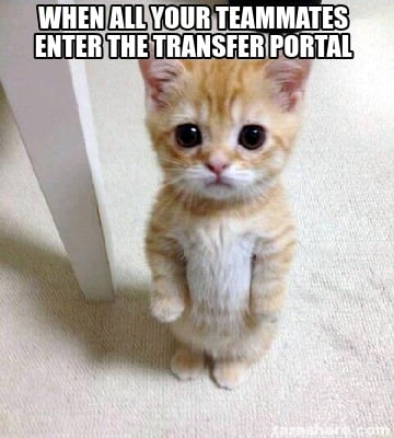 when-all-your-teammates-enter-the-transfer-portal
