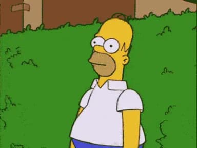 Homer Disappears Into Bush