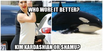 who-wore-it-better-kim-kardashian-or-shamu