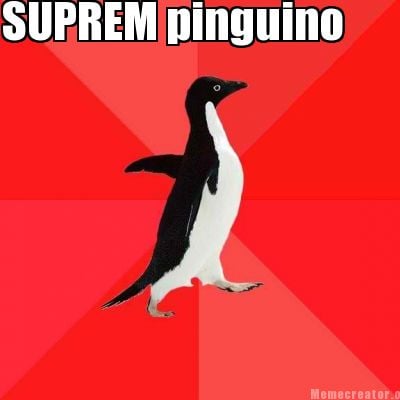 suprem-pinguino9