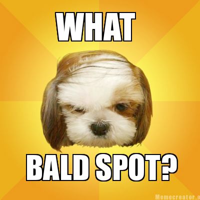 what-bald-spot