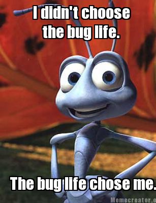 i-didnt-choose-the-bug-life.-the-bug-life-chose-me