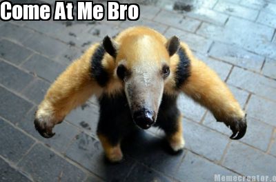 come-at-me-bro8