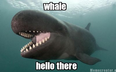 whale-hello-there