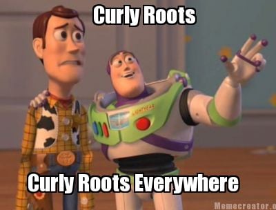 curly-roots-curly-roots-everywhere