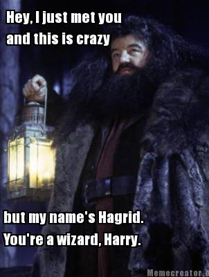 Meme Creator - Funny Hey I just met you and this is crazy but my names  Hagrid Youre a wizard Har Meme Generator at MemeCreatororg