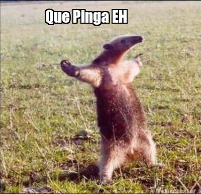 que-pinga-eh