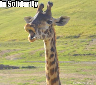 in-solidarity