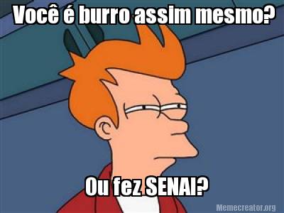 voc-burro-assim-mesmo-ou-fez-senai0