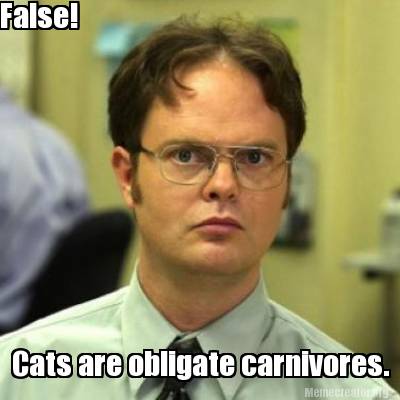 false-cats-are-obligate-carnivores
