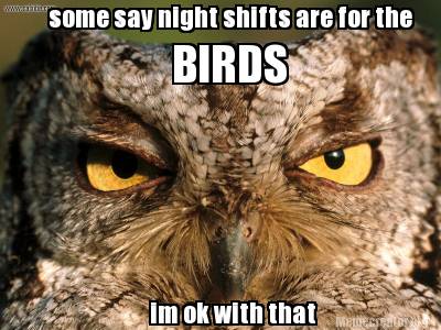 some-say-night-shifts-are-for-the-birds-im-ok-with-that