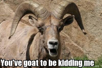 youve-goat-to-be-kidding-me