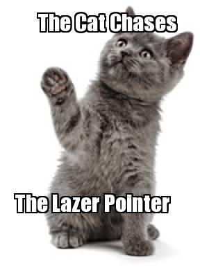 the-cat-chases-the-lazer-pointer