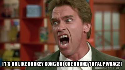 its-on-like-donkey-kong-boi-one-round-total-pwnage