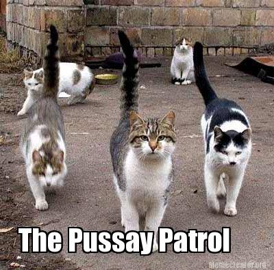 the-pussay-patrol