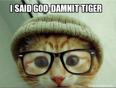 i-said-god-damnit-tiger