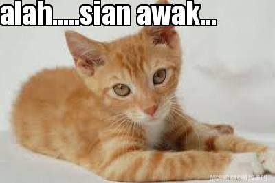 alah.....sian-awak