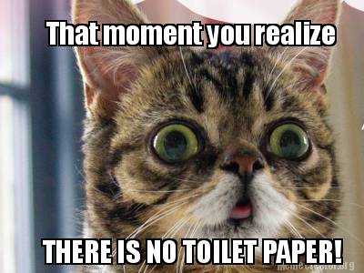 that-moment-you-realize-there-is-no-toilet-paper