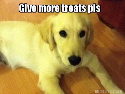 give-more-treats-pls