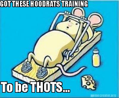 got-these-hoodrats-training-to-be-thots