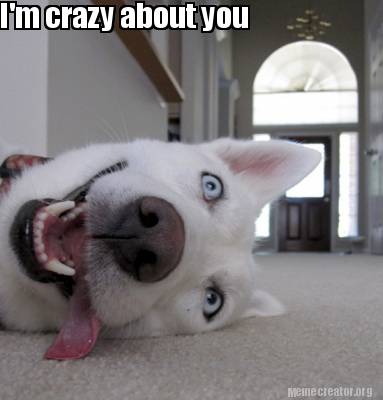 Meme Creator Funny I M Crazy About You Meme Generator At Memecreator Org