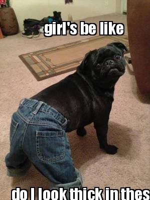 girls-be-like-do-i-look-thick-in-these-jeans