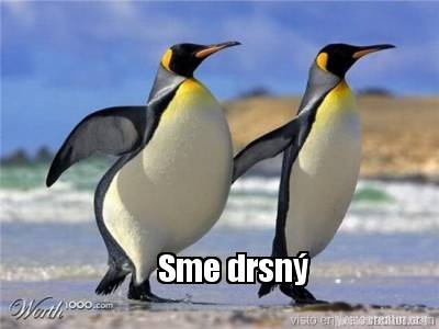 sme-drsn