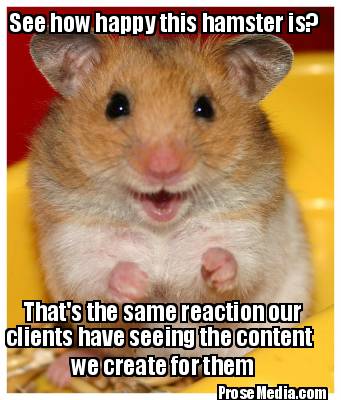 see-how-happy-this-hamster-is-thats-the-same-reaction-our-clients-have-seeing-th