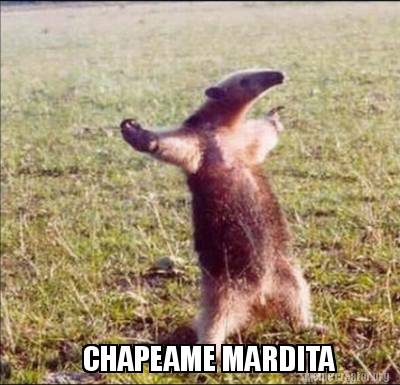 chapeame-mardita