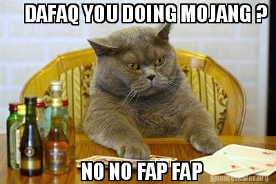 dafaq-you-doing-mojang-no-no-fap-fap