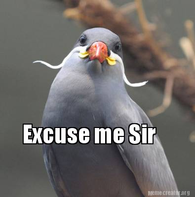 excuse-me-sir83