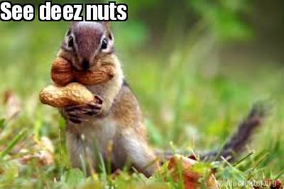 see-deez-nuts