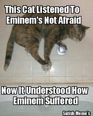 this-cat-listened-to-eminems-not-afraid-now-it-understood-how-eminem-suffered-sa